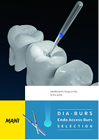 Endo Access Burs selection